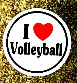 Volleyball Circular Color Sticker 2