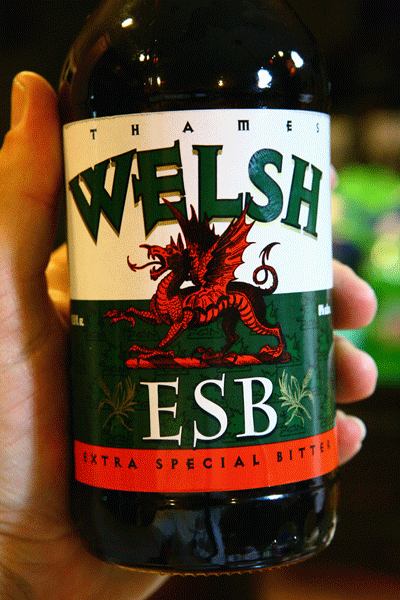 Welsh ESB