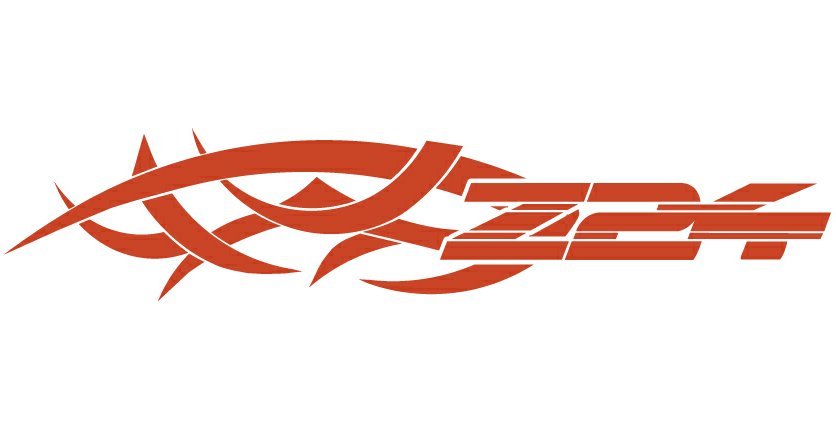 Z24 Auto Flame Side Graphics (Pair)