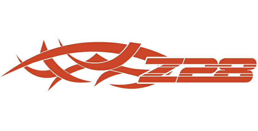 Z28 Auto Flame Side Graphics (Pair)