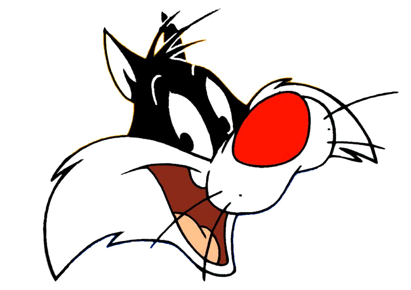 SYLVESTER HEAD