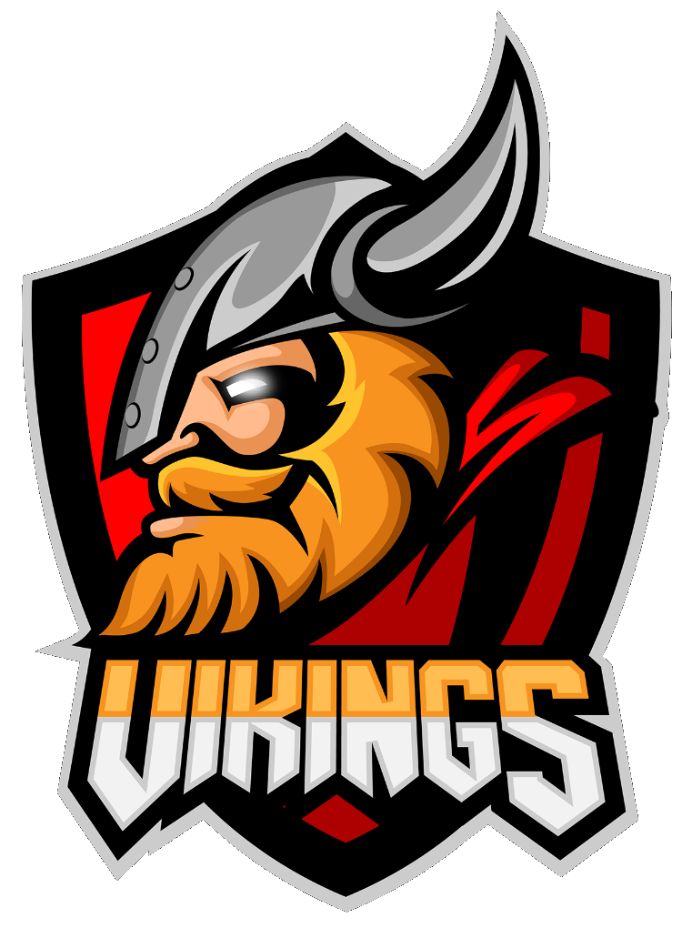 VIKINGS GAMING LOGO STICKER 33