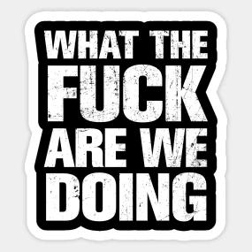 WHAT THE FUCK ARE WE DOING POLITICAL STICKER