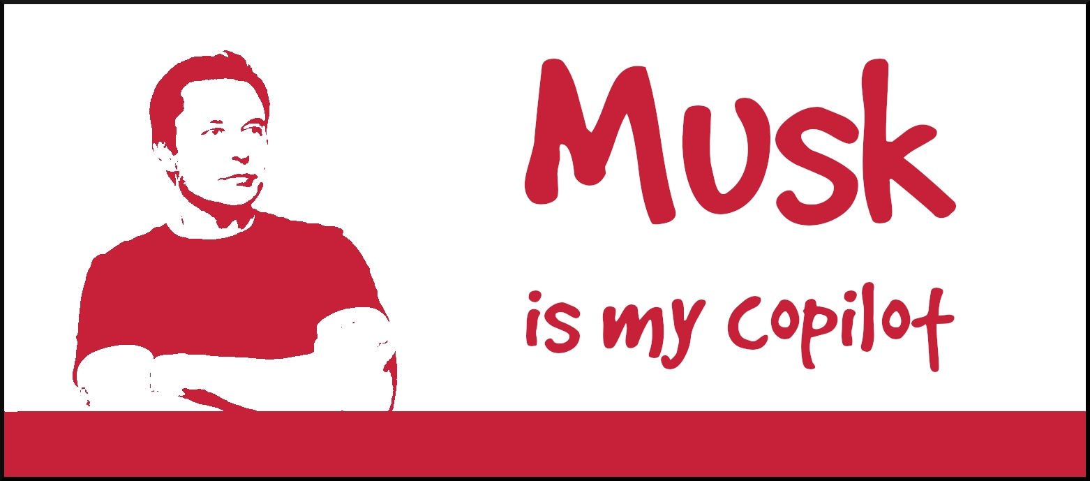 tesla musk is my copilot bumper sticker