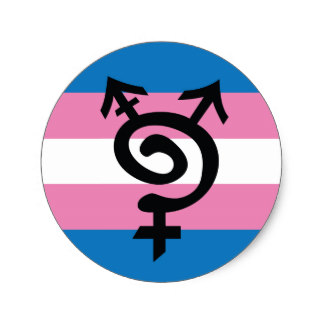 trans_pride_sticker