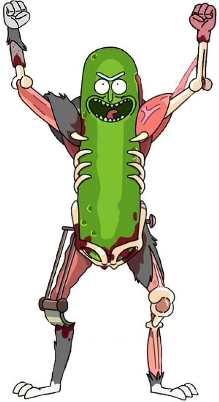 ultimate_destiny_pickle_rick FUNNY CAR STICKER