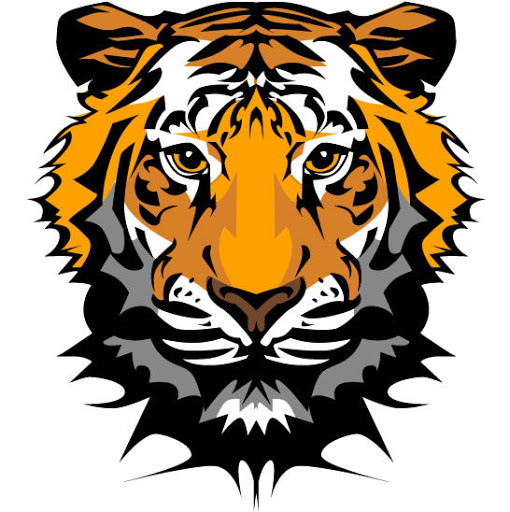 wild animal tiger sticker 5