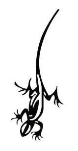 Tribal Lizard Sticker