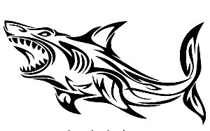 Tribal Shark Decal 55
