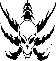 Tribal Skull Vinyl Decal 17