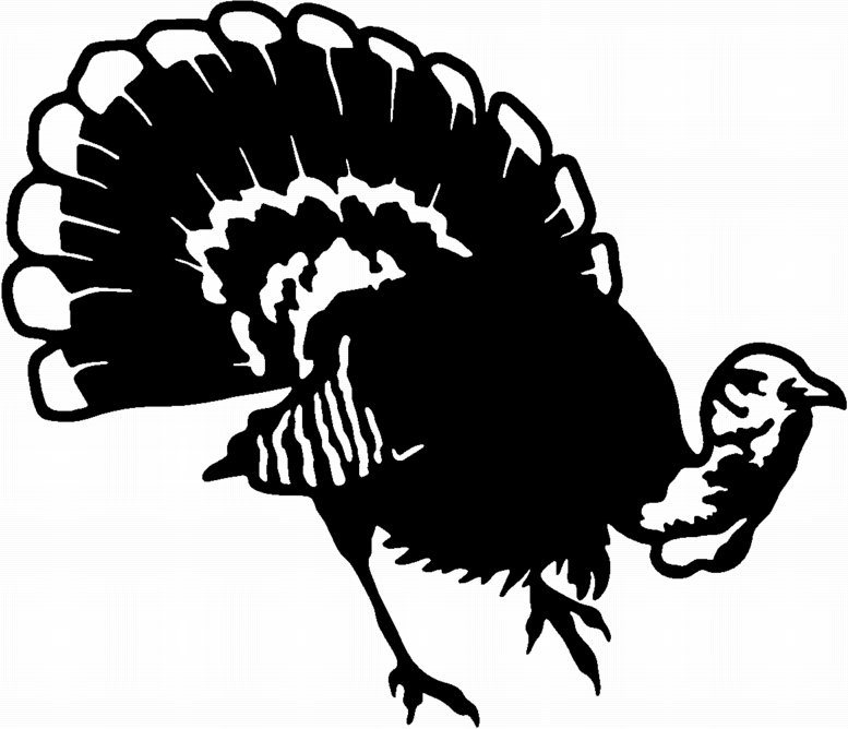 Turkey Turkeys Animal Animals Vinyl Decal Sticker 03