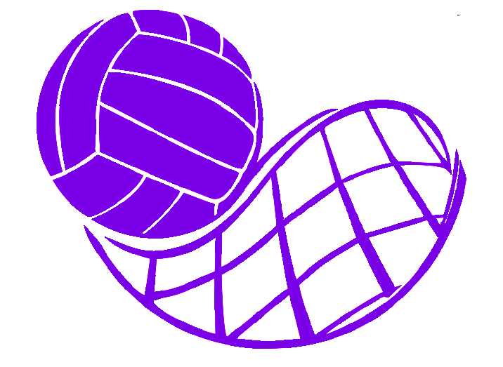 Volleyball Net Vinyl Decal