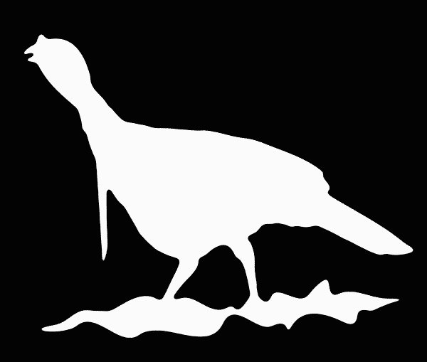 Turkey Vinyl Hunting Decal