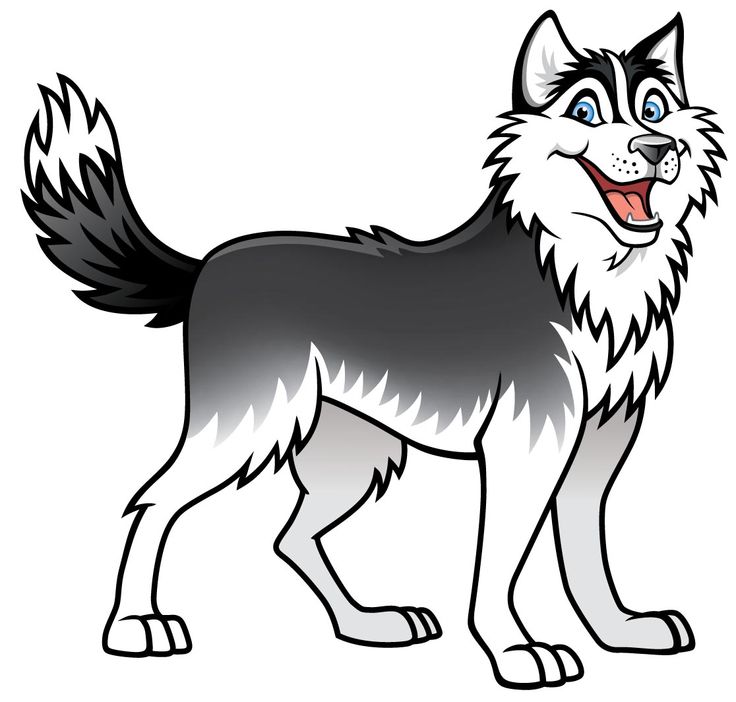 husky cartoon sticker