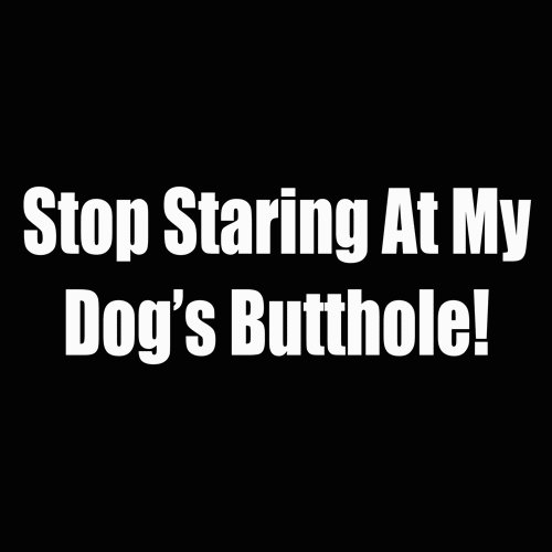 stop staring at my dogs butthole