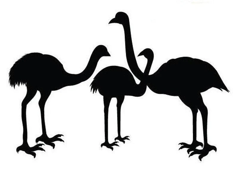 Emu Funny Animal Sticker 12