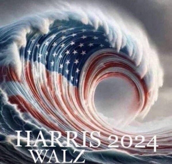 HARRIS WALZ 2024 FREEDOM STICKER