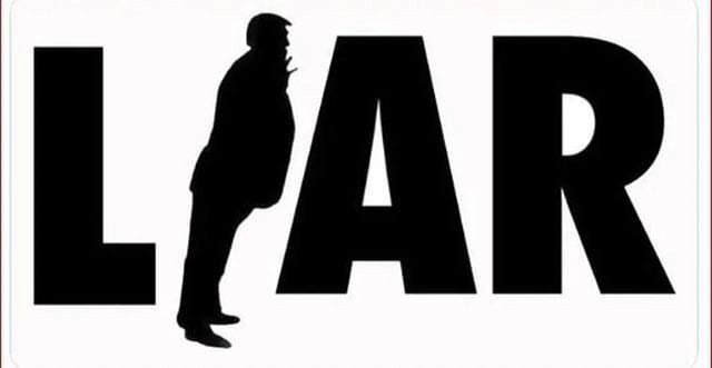 TRUMP LIAR die cut POLITICAL DECAL