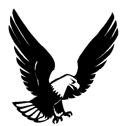 Bald Eagle decal
