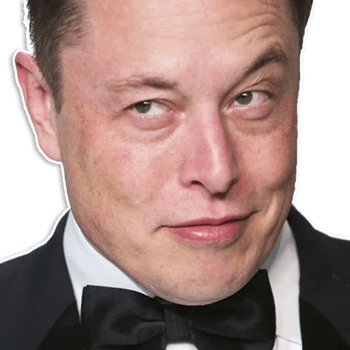 SNEEKY ELON FACE STICKER