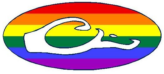 DRAKE OVAL DECAL- Flag Pride FILL