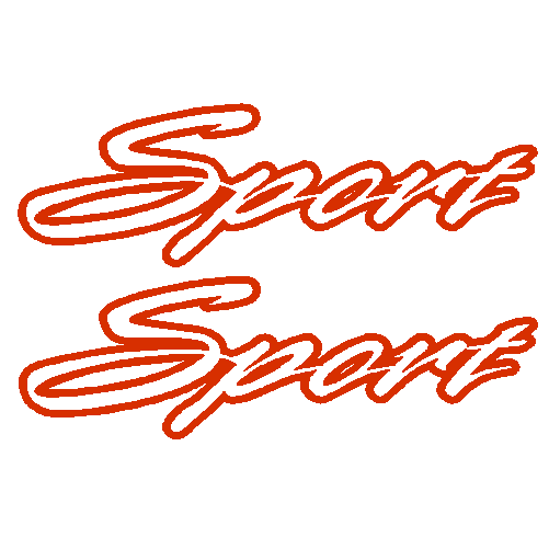 Sport outline decal