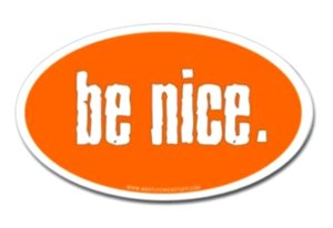 Be Nice Oval Decal