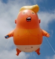 TRUMP BABY BALLOON IN FLIGHT STICKER