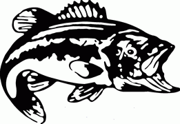 Fish Decals -15