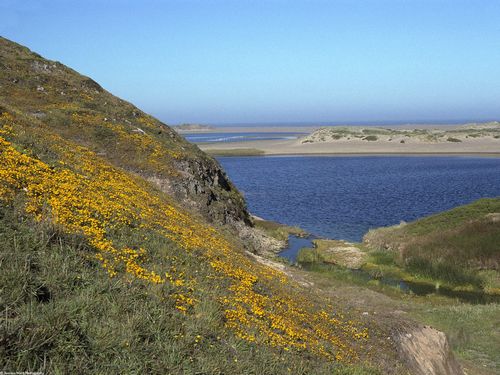 Landscape Vinyl Wall Graphic Decals 67