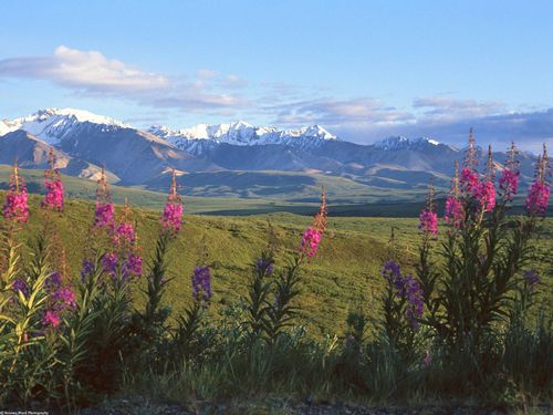 Mountain Scenes Wall Art Decals 043