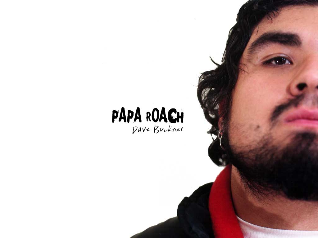 Papa Roach Color Band Decal
