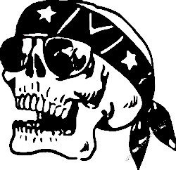 Rebel Skull Decal 2