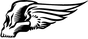 Skull Wing Sticker