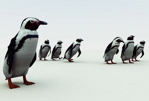 3D Object Vinyl Wall Decals 27