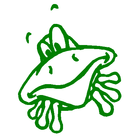 Frog Head vinyl sticker