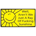 well arent we just a ray of fucking sunshine