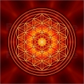 YOGA Flower of Life Color Sticker 5