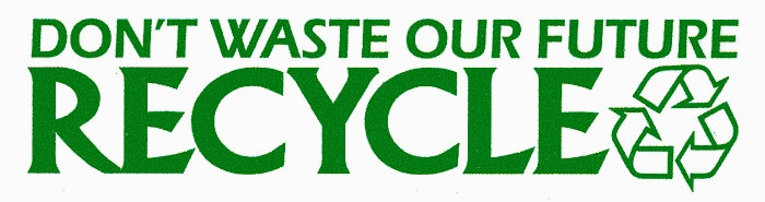 dont_waste_our_future_recycle_bumper sticker