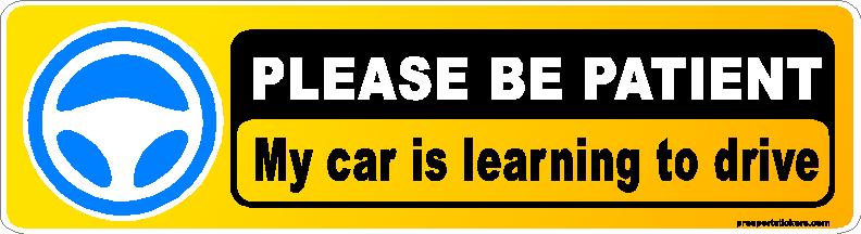 TESLA SELF DRIVING CAR - My car is learning to drive