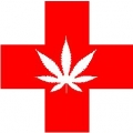 the original medical marijuana logo diecut decal