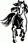 Horse Decals -42