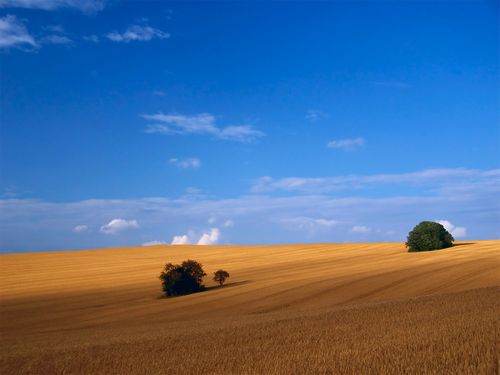 Landscape Vinyl Wall Graphic Decals 28