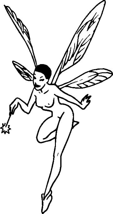 Fairy Fairies Car or Wall Vinyl Decal Stickers 11