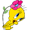 Tweety Bird Flower Decal