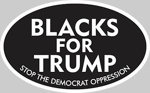 2020 TRUMP political sticker  17