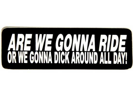 are-we-going-to-ride-or-are-we-going-to-dick-around-all-day-girl sticker