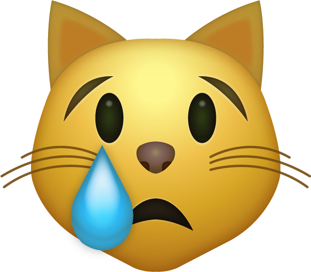 CAT Crying Emoji