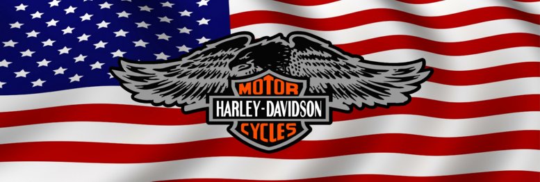 H D USA 4 Rear Window Graphic