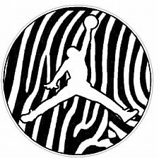 JUMP CIRCLE - SKIN ZEBRA